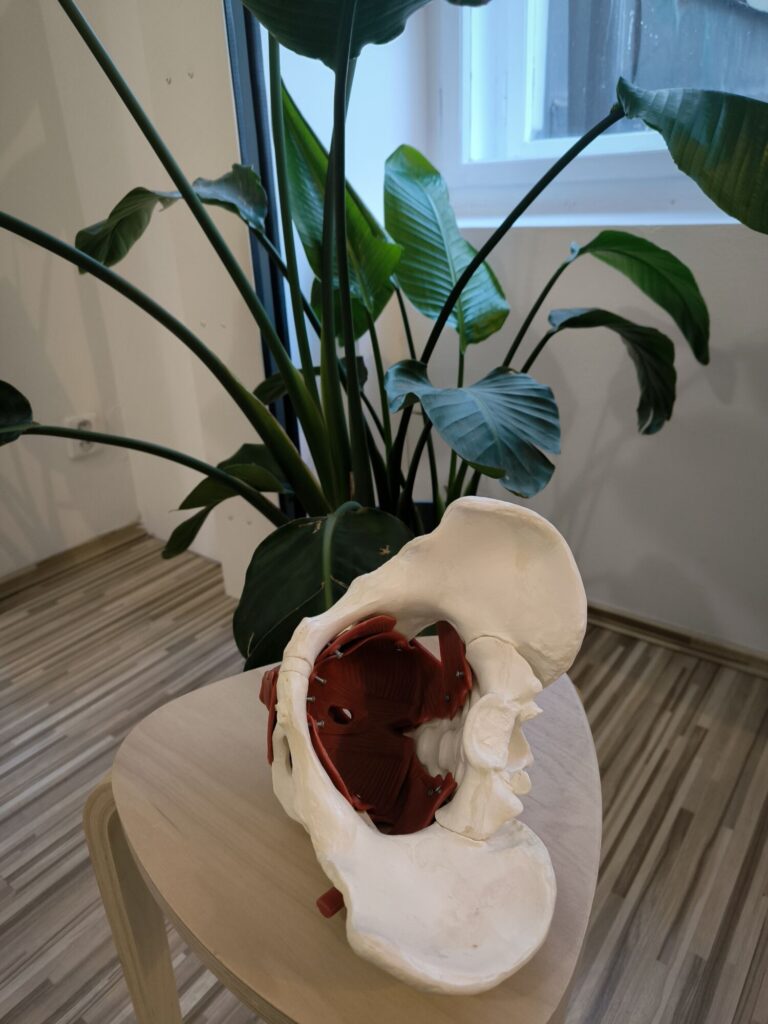 Lucie Mráz (ellfyzio)